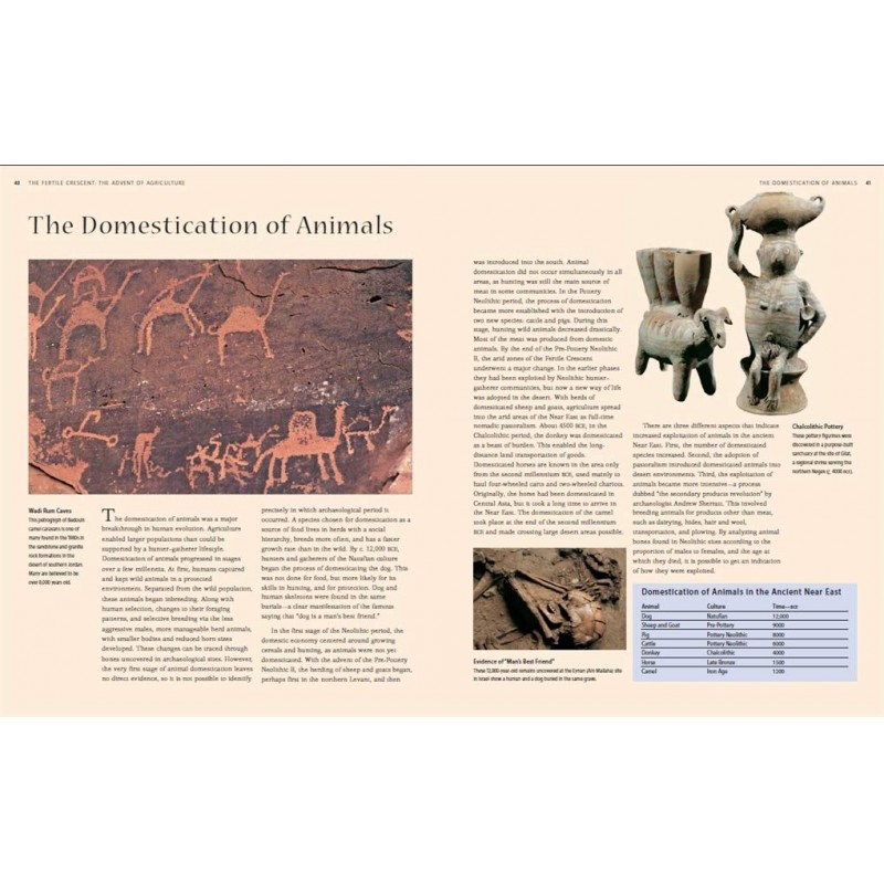 The Middle East The Cradle of Civilization Teşvikiye Patika Kitabevi