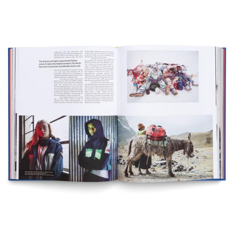 GESTALTEN THE INCOMPLETE HIGHSNOBIETY GUIDE TO STREET FASHION AND CULTURE UPDATED EDITION 2025 visual data 6