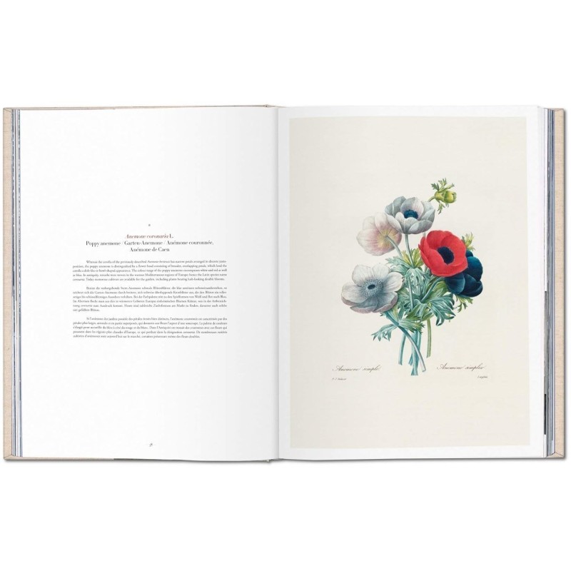 Redouté: Selection of the Most Beautiful Flowers - Teşvikiye Patika ...