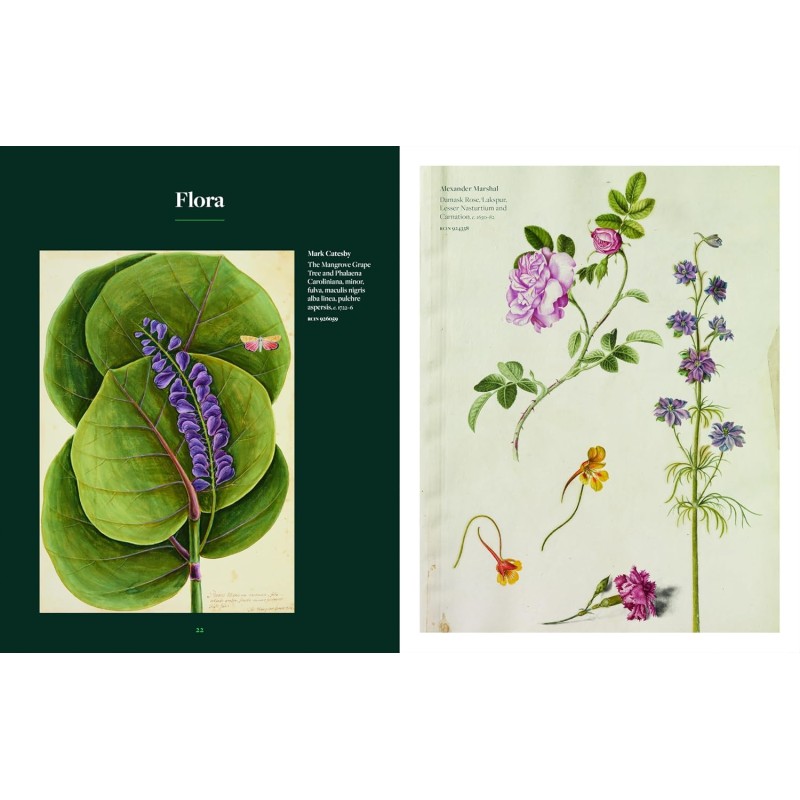 Botanicals Collection. Design Botanicals: From the Royal Collection - Teşvikiye Patika Kitabevi