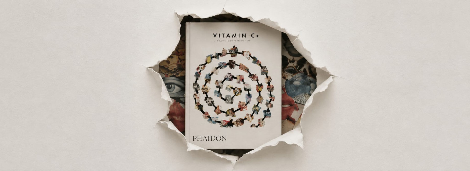 Vitamin C+: Collage in Contemporary Art