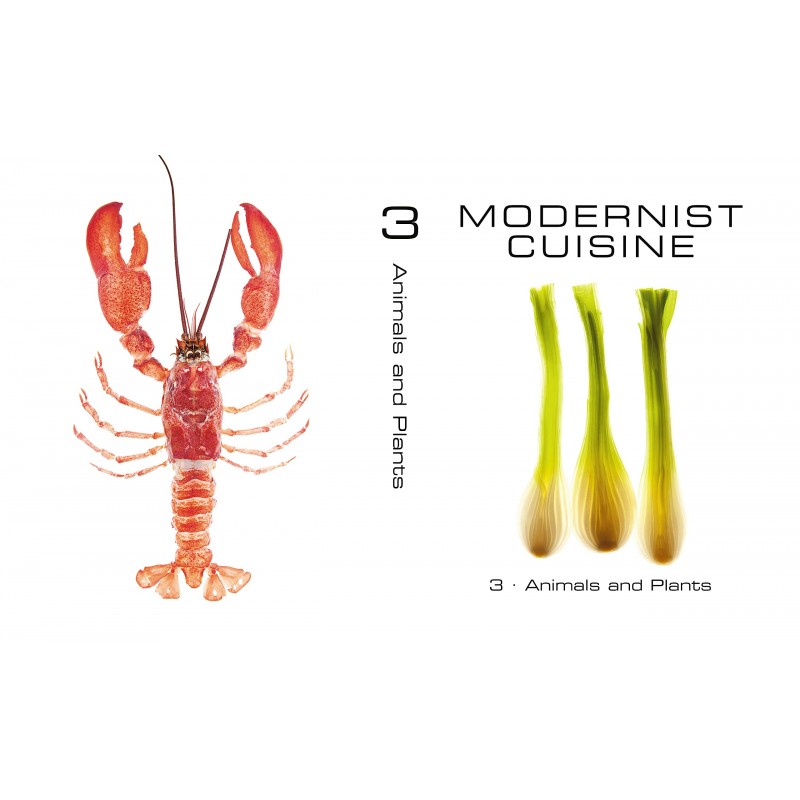 Modernist Art and Science of Cooking Teşvikiye Patika