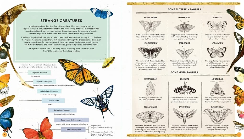 The Secret Life of Butterflies - Teşvikiye Patika Kitabevi