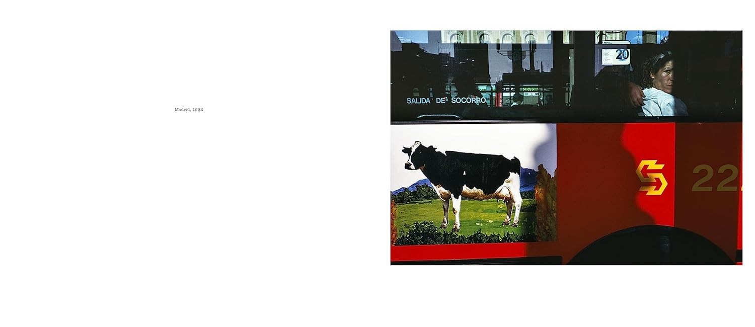 Alex Webb: Dislocations - Teşvikiye Patika Kitabevi