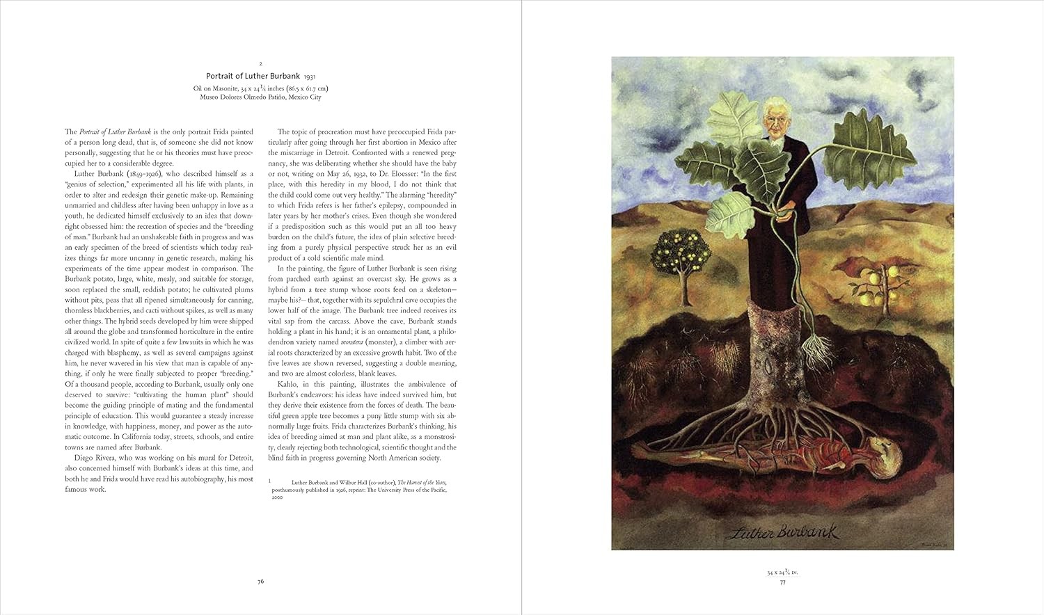 Frida Kahlo: The Painter and Her Work - Teşvikiye Patika Kitabevi