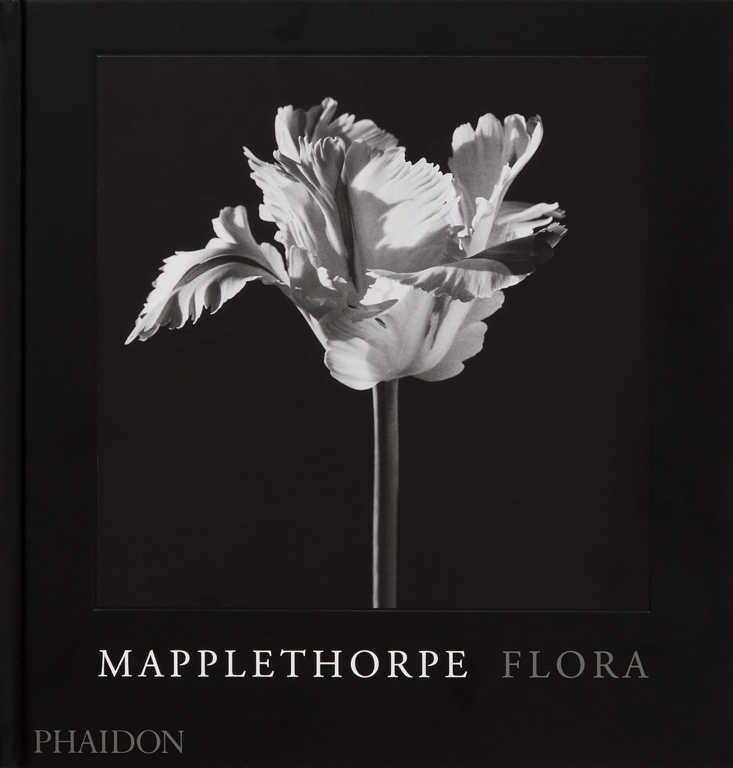 Mapplethorpe Flora: The Complete Flowers - Teşvikiye Patika Kitabevi