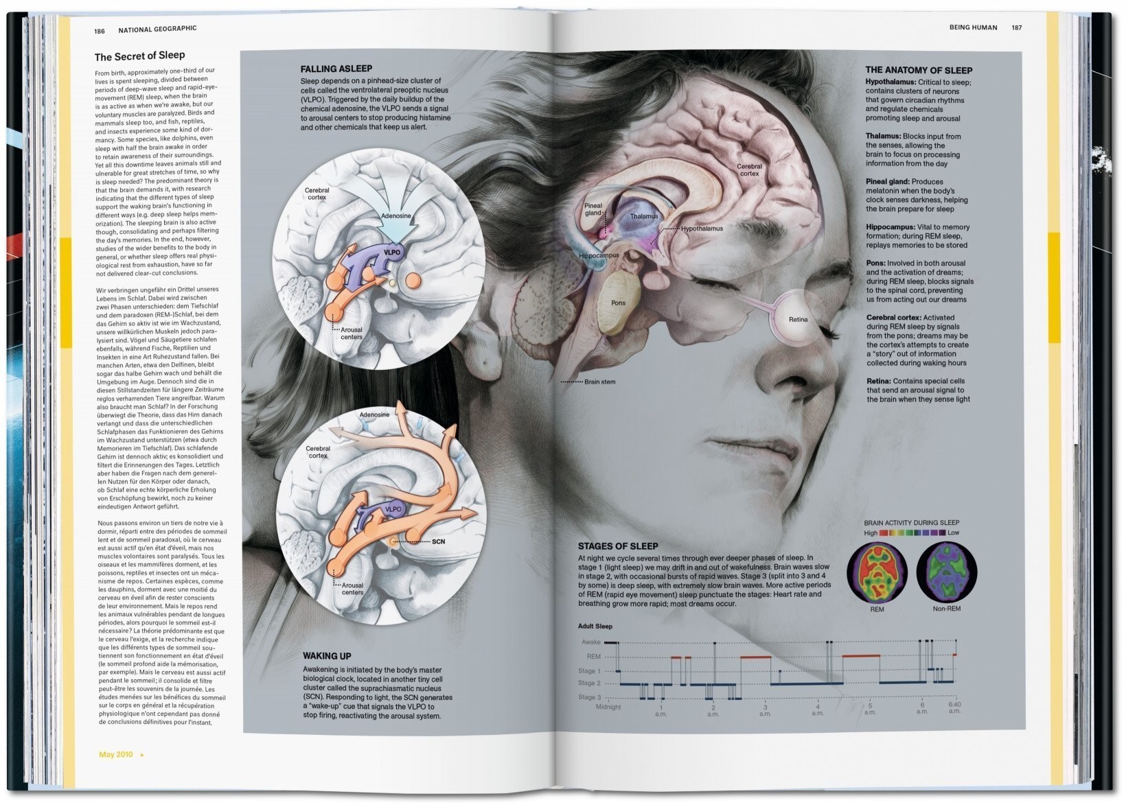 National Geographic Infographics - XL - Teşvikiye Patika Kitabevi