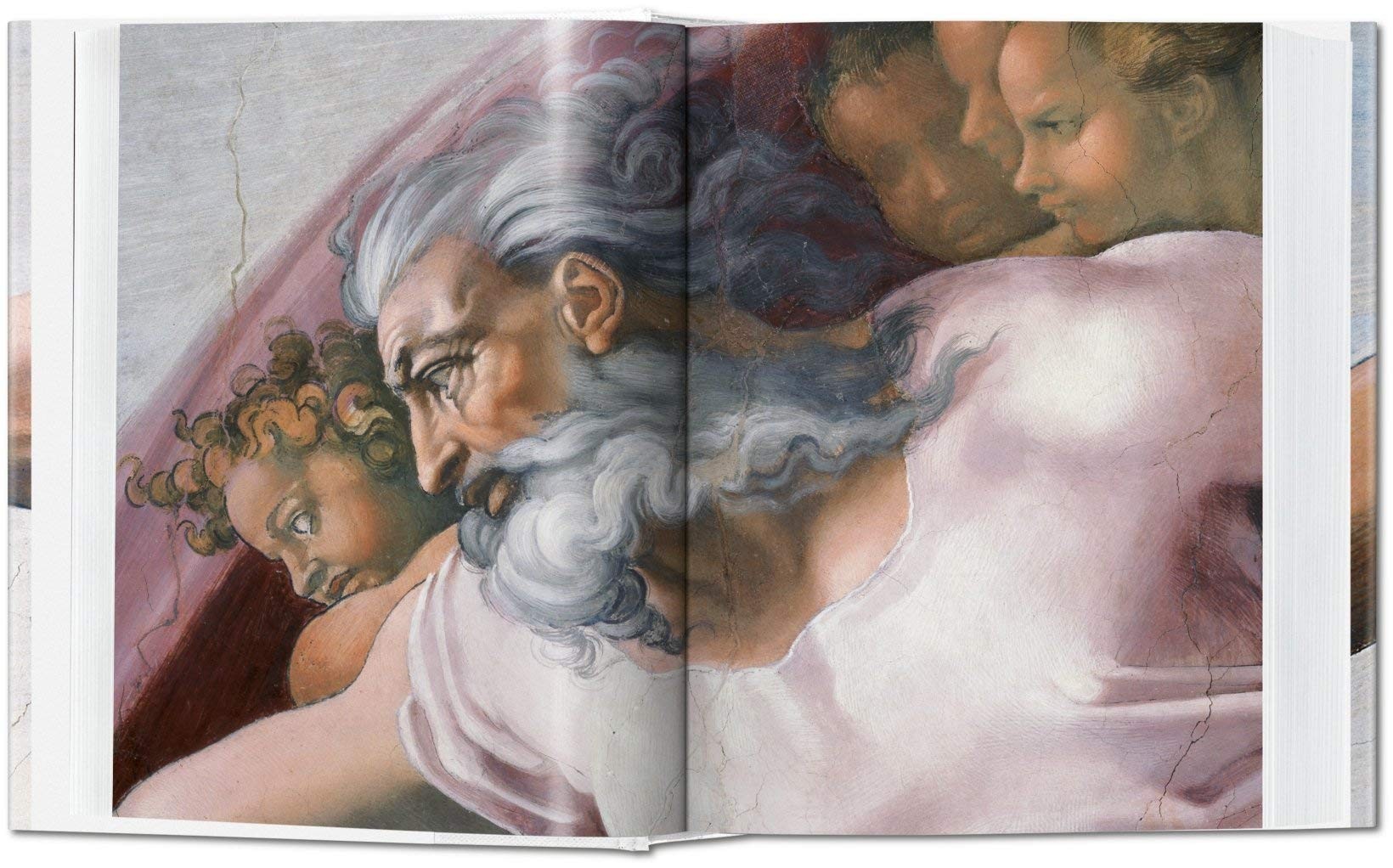 Michelangelo. The Complete Paintings, Sculptures and Arch
