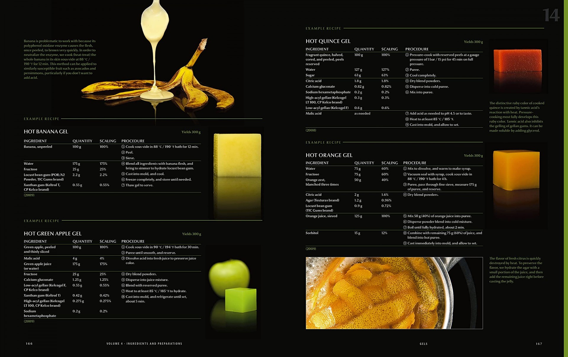 Modernist Cuisine:The Art and Science of Cooking - Teşvikiye