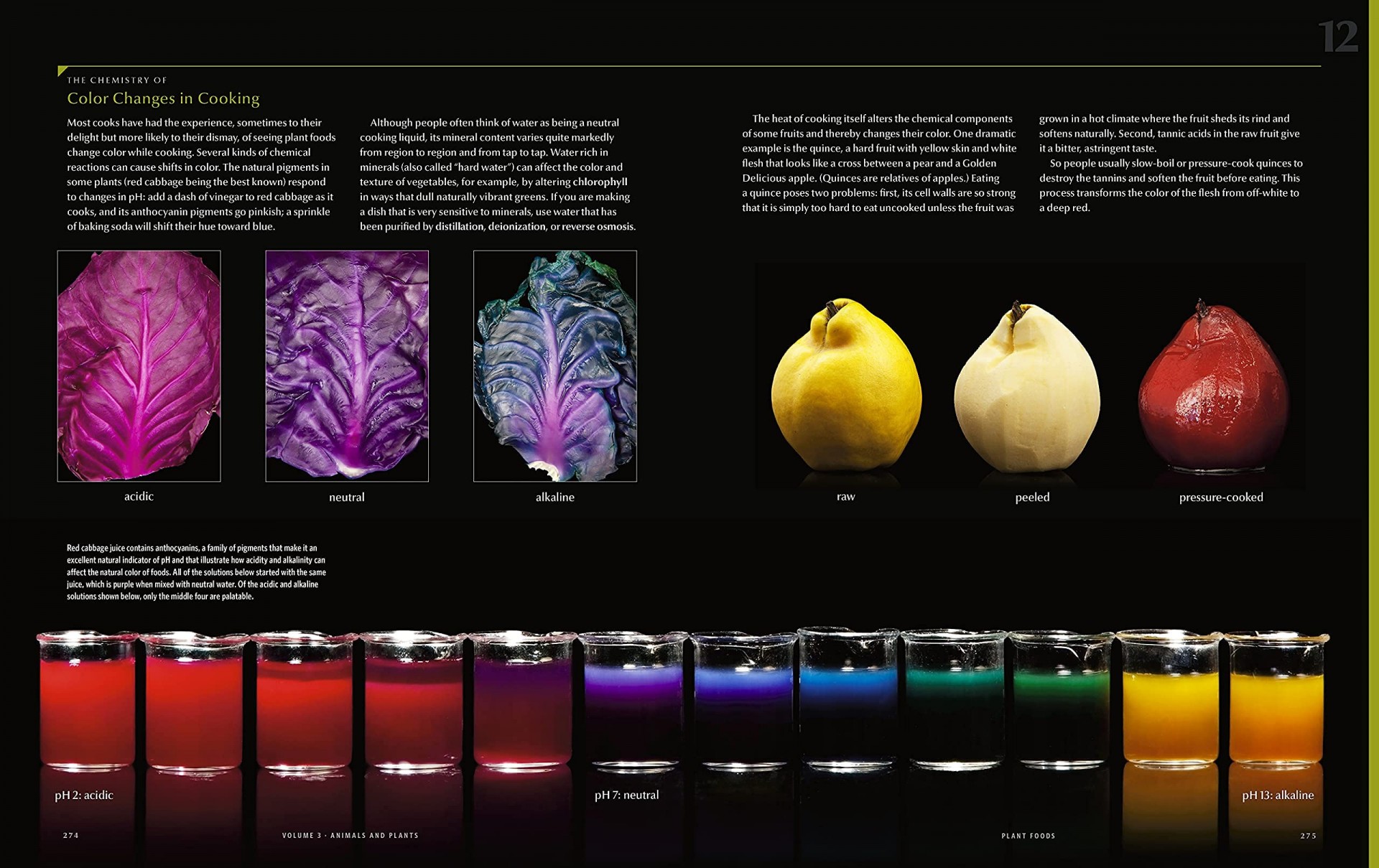 Modernist Cuisine:The Art and Science of Cooking - Teşvikiye