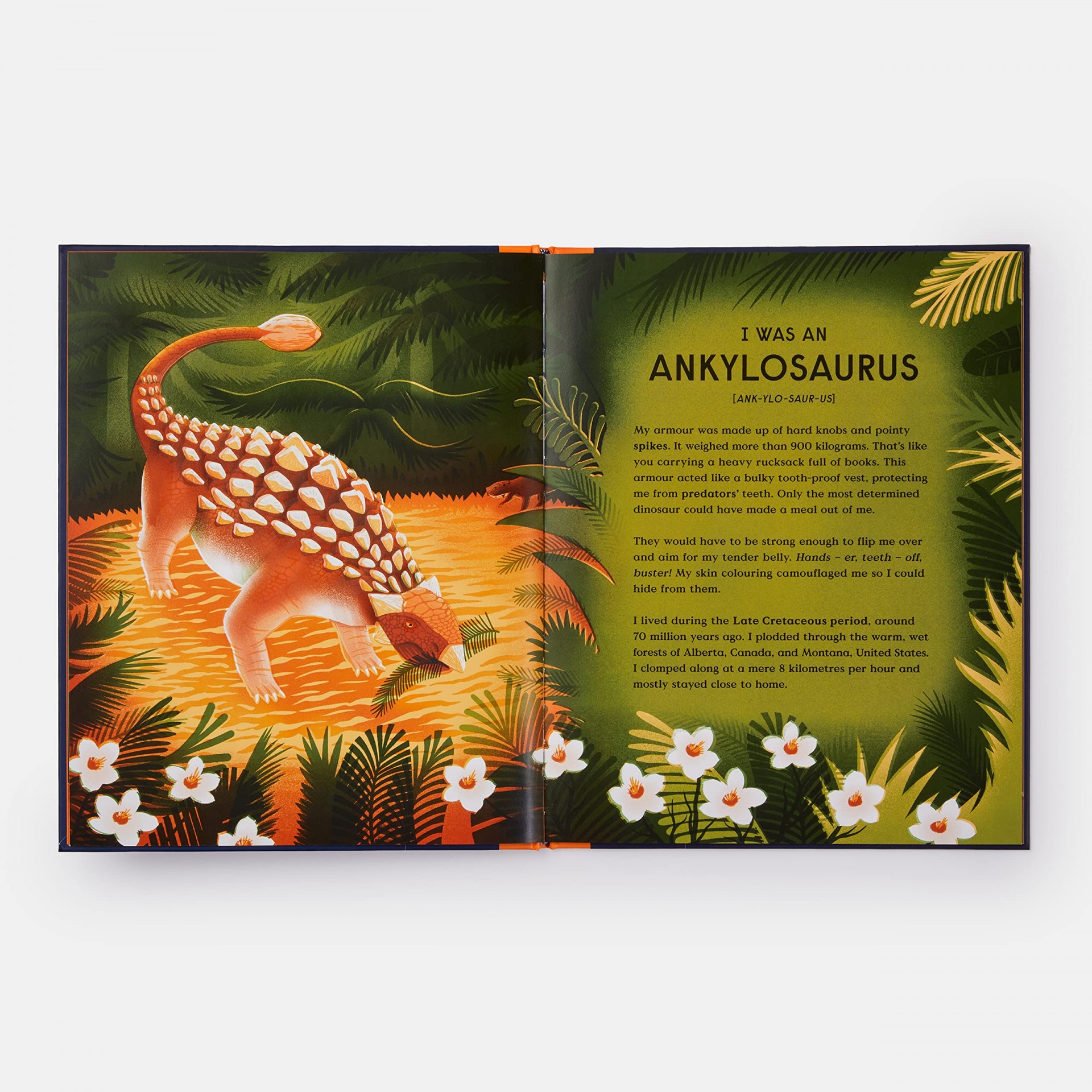 Book of Dinosaurs: 10 Record-Breaking Prehistoric Animals - Teşvikiye  Patika Kitabevi