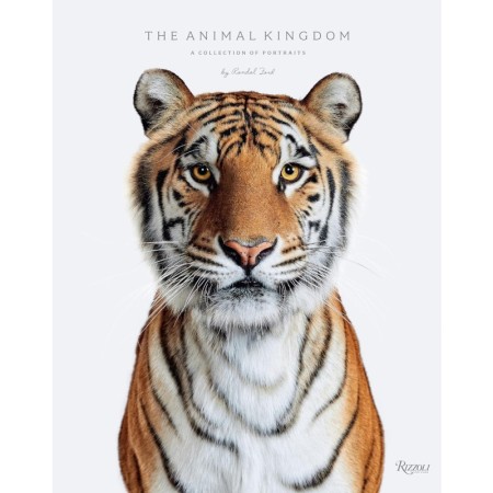Animal Kingdom: A Collection on Portraits