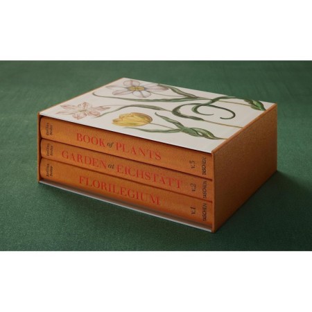 Basilius Besler. The Garden at Eichstätt