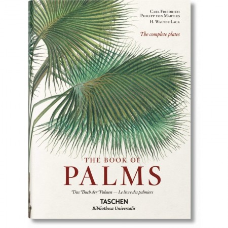 Martius: The Book of Palms