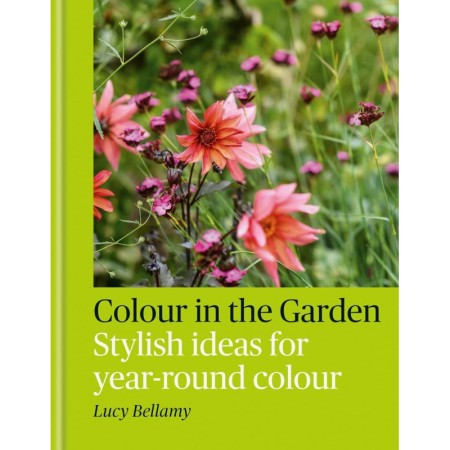 Colour in the Garden