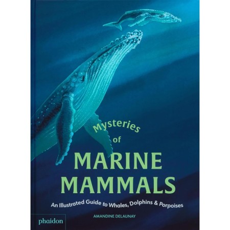 Mysteries of Marine Mammals