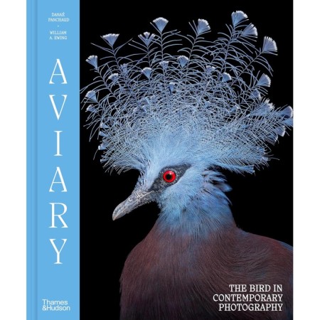 Aviary: The Bird in Contemporary Photography
