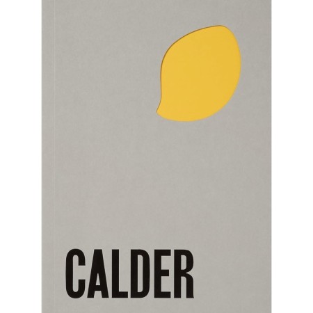 Alexander Calder: From the Stony River to the Sky
