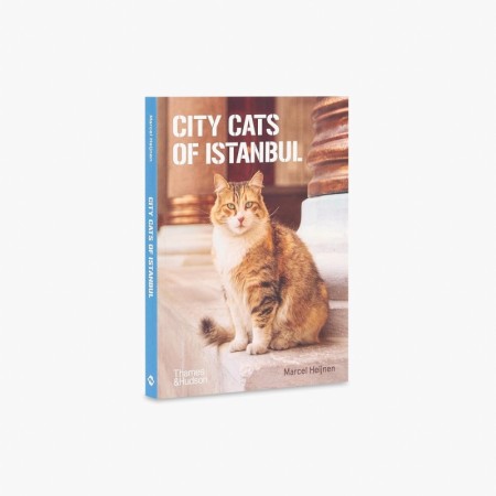 City Cats of Istanbul