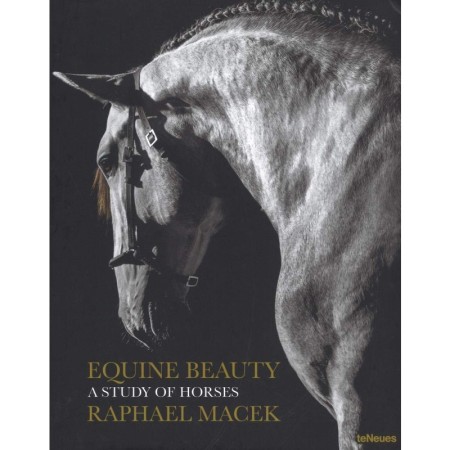 Equine Beauty: A Study of Horses - Compact edition
