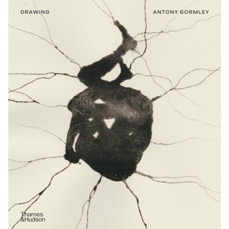 Drawing: Antony Gormley