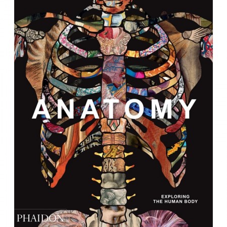 Anatomy Explorıng The Human Body