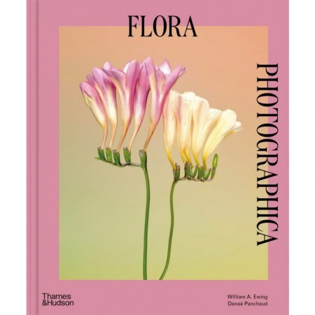 Flora Photographica: The Flower in Contemporary Photography