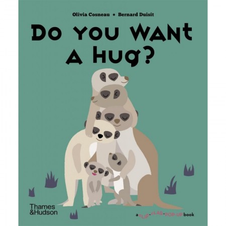 Do You Want a Hug? (A Flip Flap Pop Up Book)