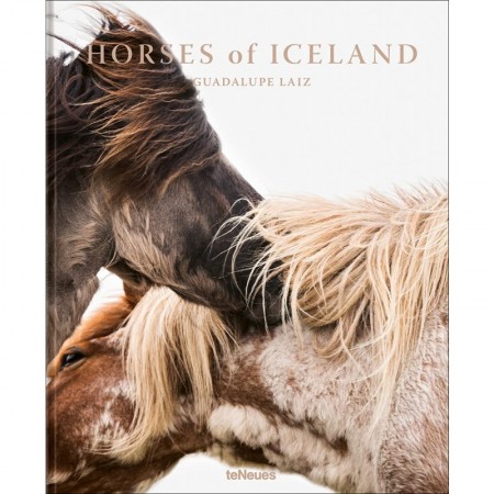 Horses of Iceland