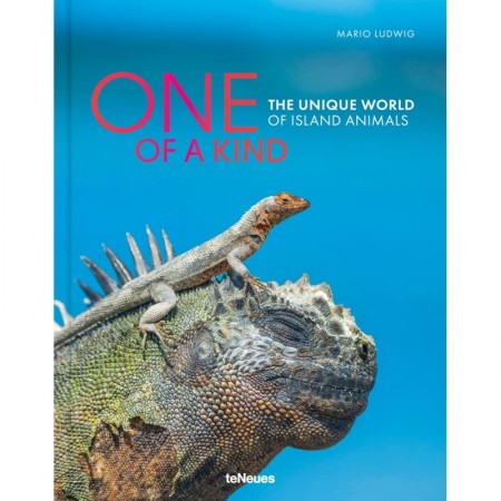 One of a Kind: The Unique World of Island Animals